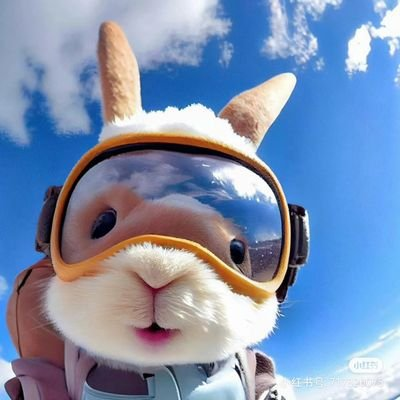 web3 pfp