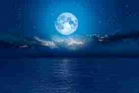 Miah (miahcole) Farcaster social identity (Fname handle) PFP