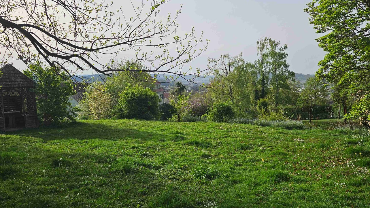 radhruinj.lens Lens social identity (.lens handle) PFP