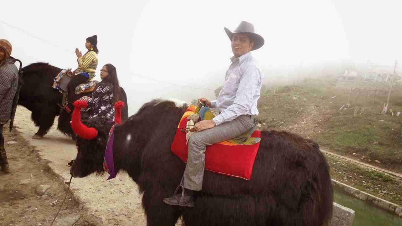 Rohit Singh (zeroxpad.lens) Lens social identity (.lens handle) PFP