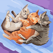 ellaevans51771 pfp