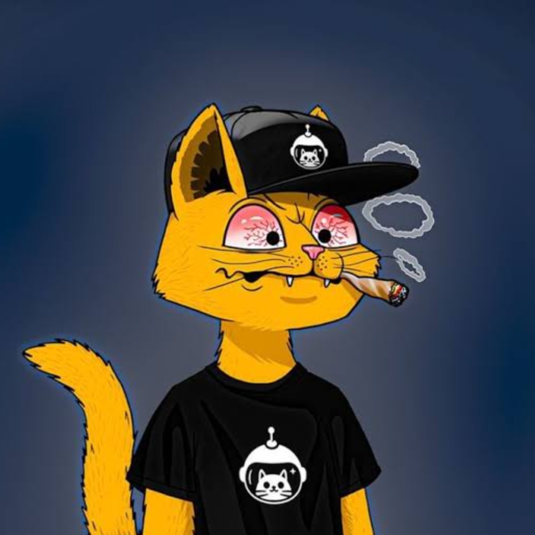 Sarayu pfp