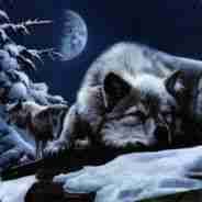 IcyNess (slayerhe) Farcaster social identity (Fname handle) PFP