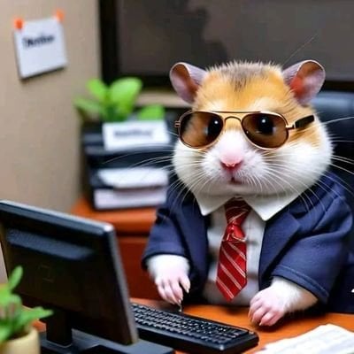 MuhdTango 🚀DAOBase's Farcaster avatar