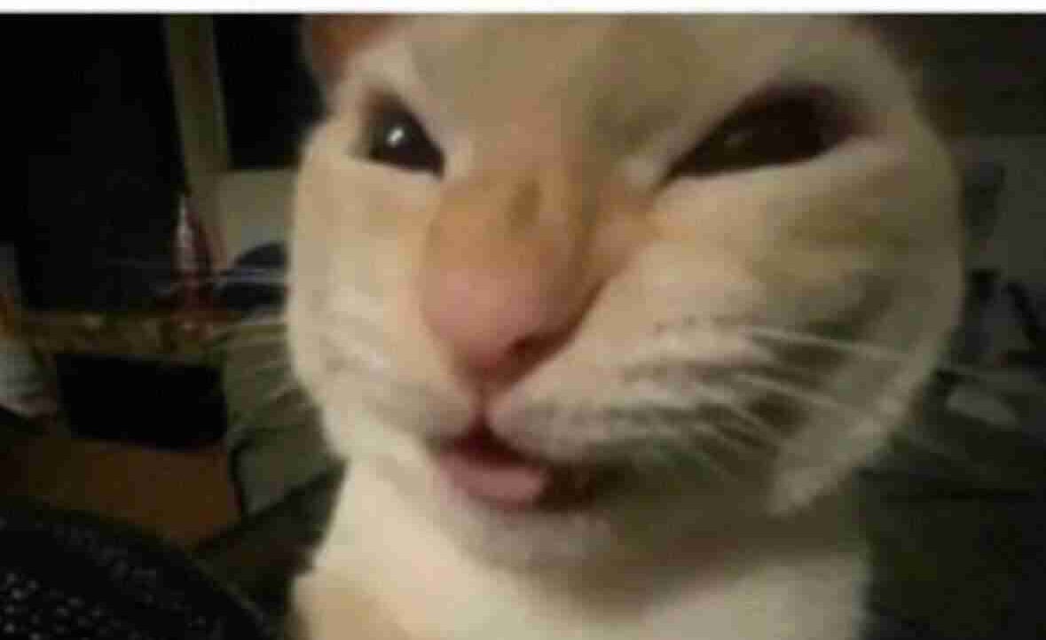 top1server.lens Lens social identity (.lens handle) PFP