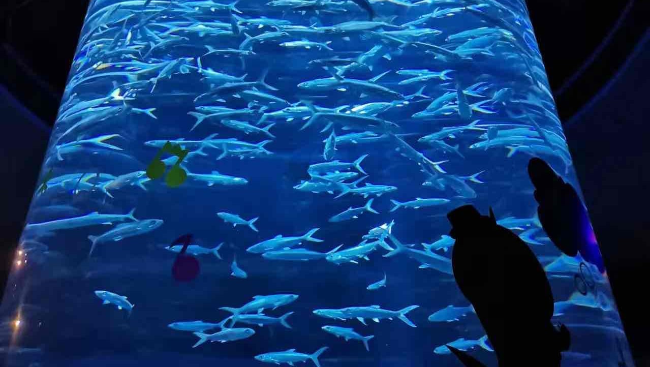 ayyeyy Farcaster social identity (Fname handle) PFP