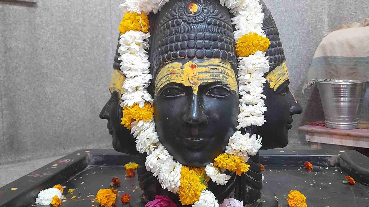 Rachna Suthar pfp