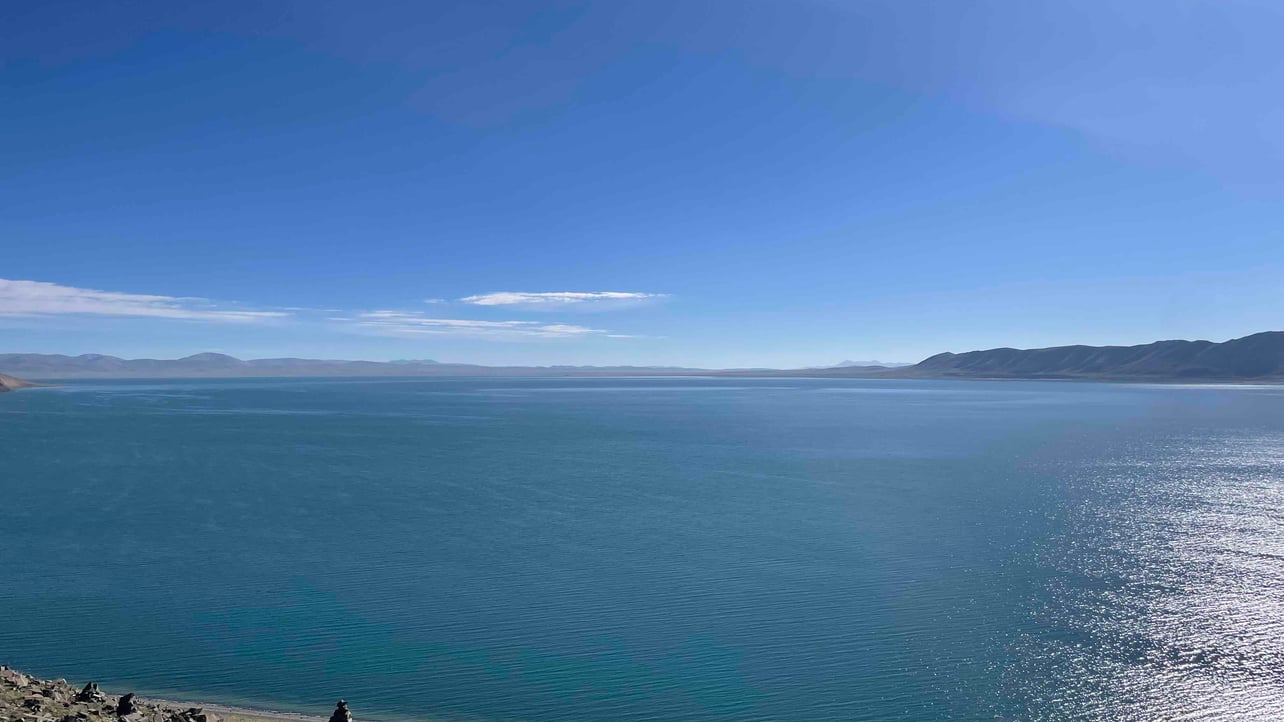 firefly99.lens Lens social identity (.lens handle) PFP