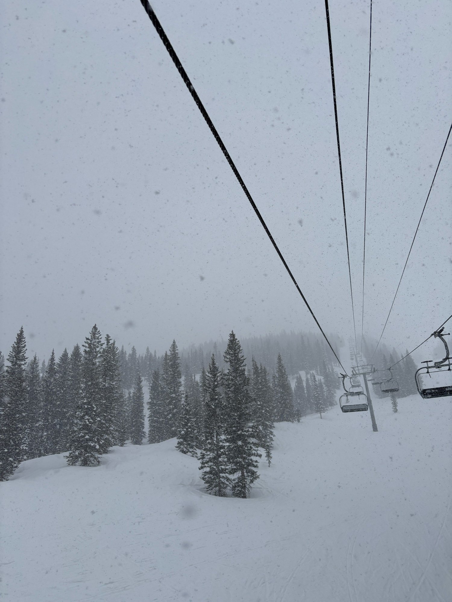 Embed from @adrienne