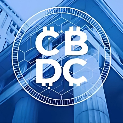 Central Bank Digital Currency