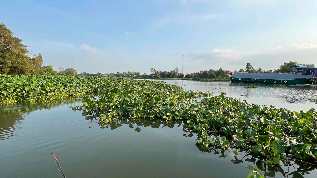 jurimol183 (jurimol183.lens) Lens social identity (.lens handle) PFP