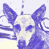 othmane (othmane7411.lens) Lens social identity (.lens handle) PFP