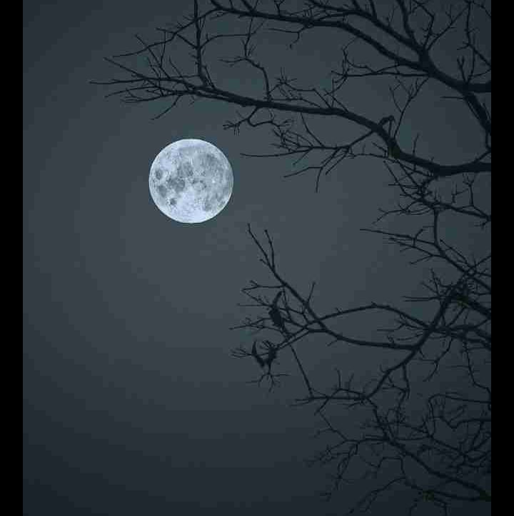 Daimabbas (daimabbas) Farcaster social identity (Fname handle) PFP