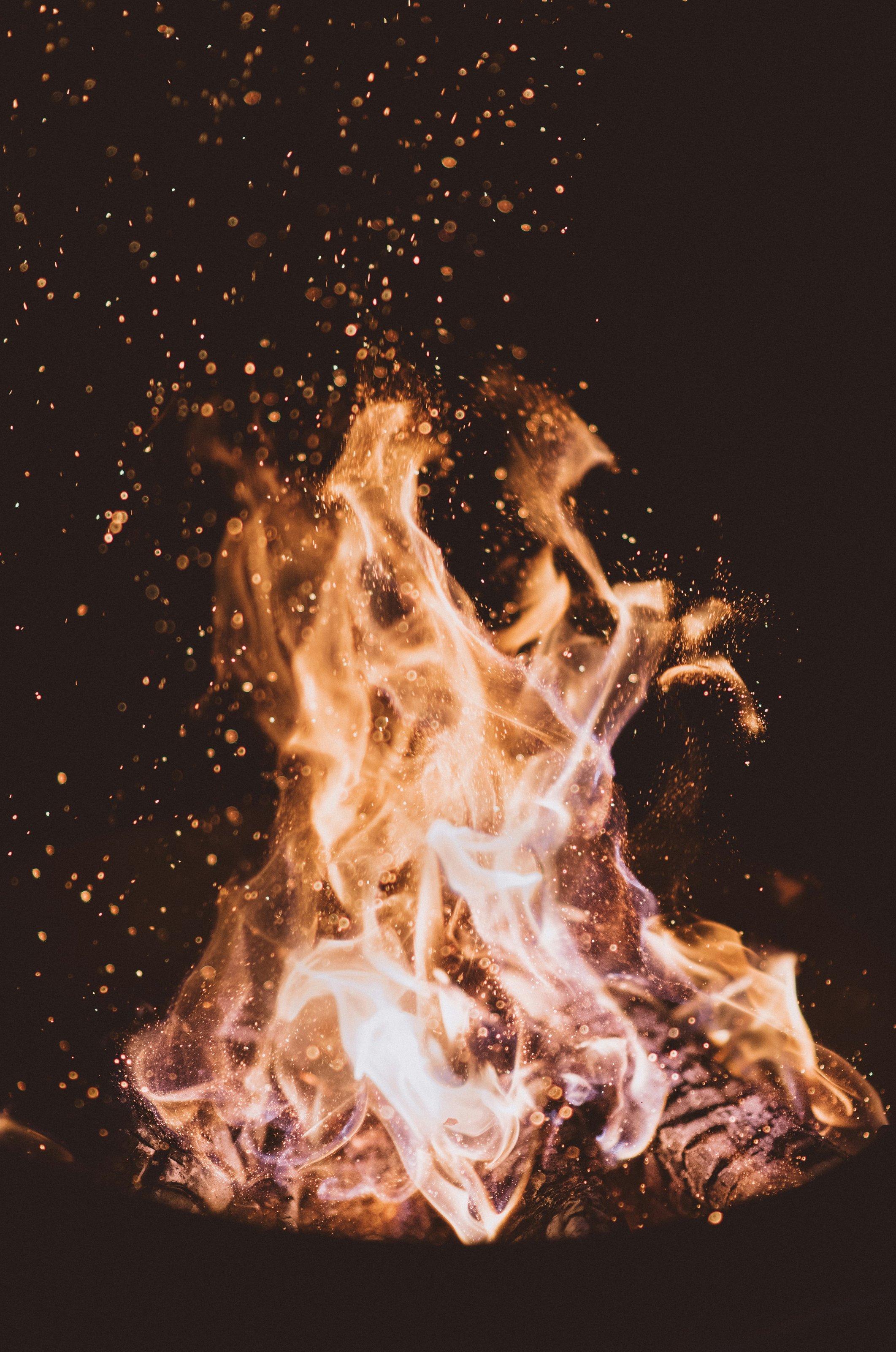 https://imagedelivery.net/BXluQx4ige9GuW0Ia56BHw/935be429-18b4-448c-9210-6554e5500600/original