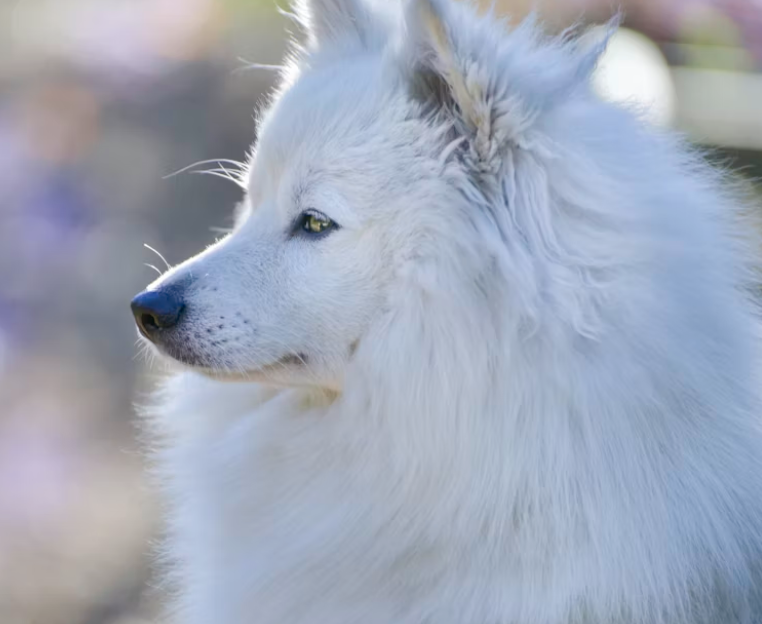 wardelloliver Farcaster social identity (Fname handle) PFP