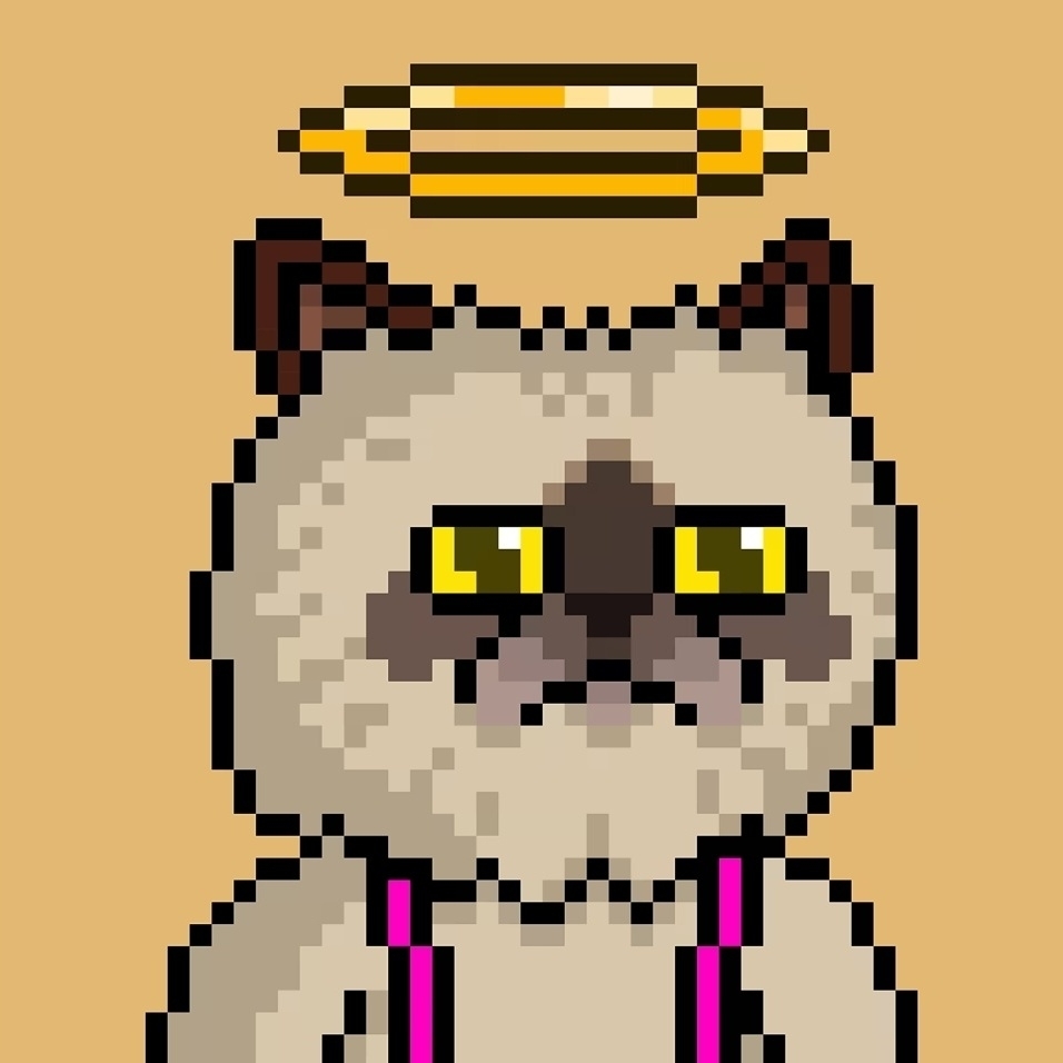 Meme Soldier $Miggles π pfp