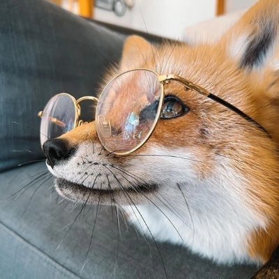 lisuenush pfp