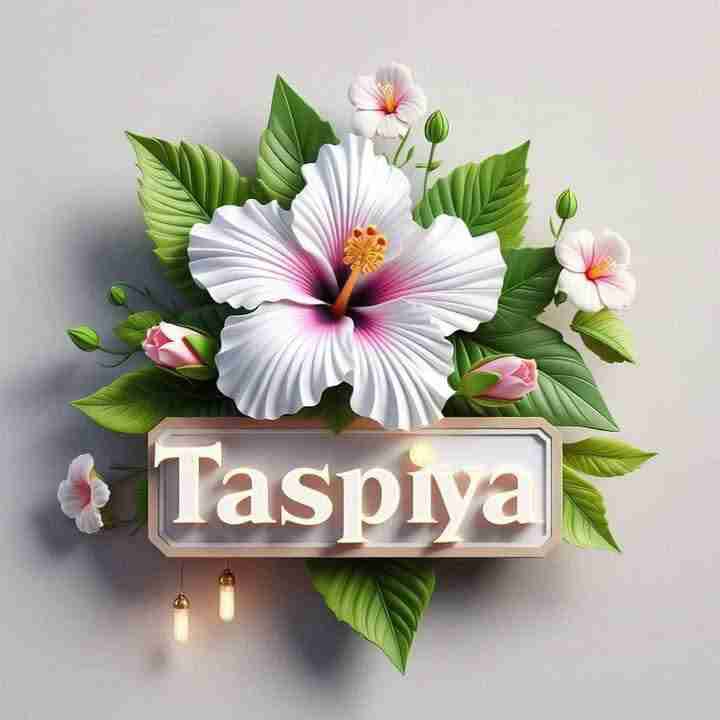 Taspiya (gagreto) Farcaster social identity (Fname handle) PFP