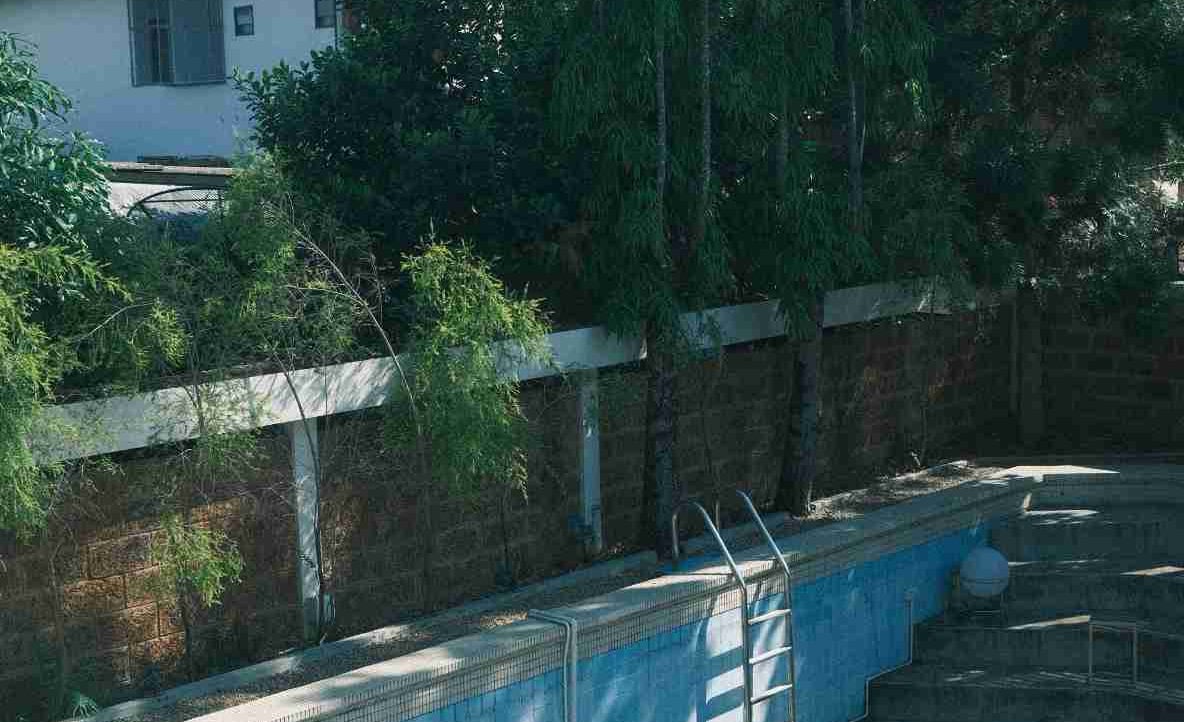 MURK (murks.lens) Lens social identity (.lens handle) PFP