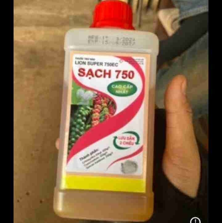 Huyenchi (huyenchi) Farcaster social identity (Fname handle) PFP