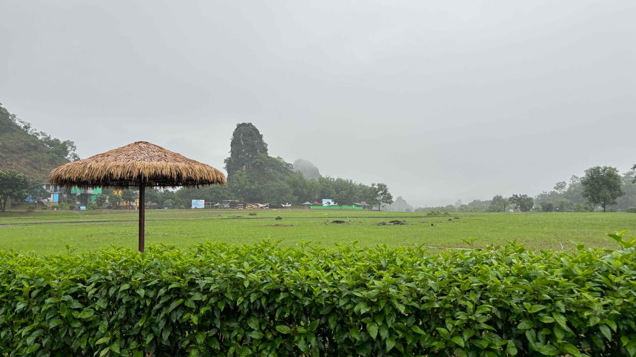 yuv.linea.eth Linea Name Service (.linea.eth domains) based on ENS PFP