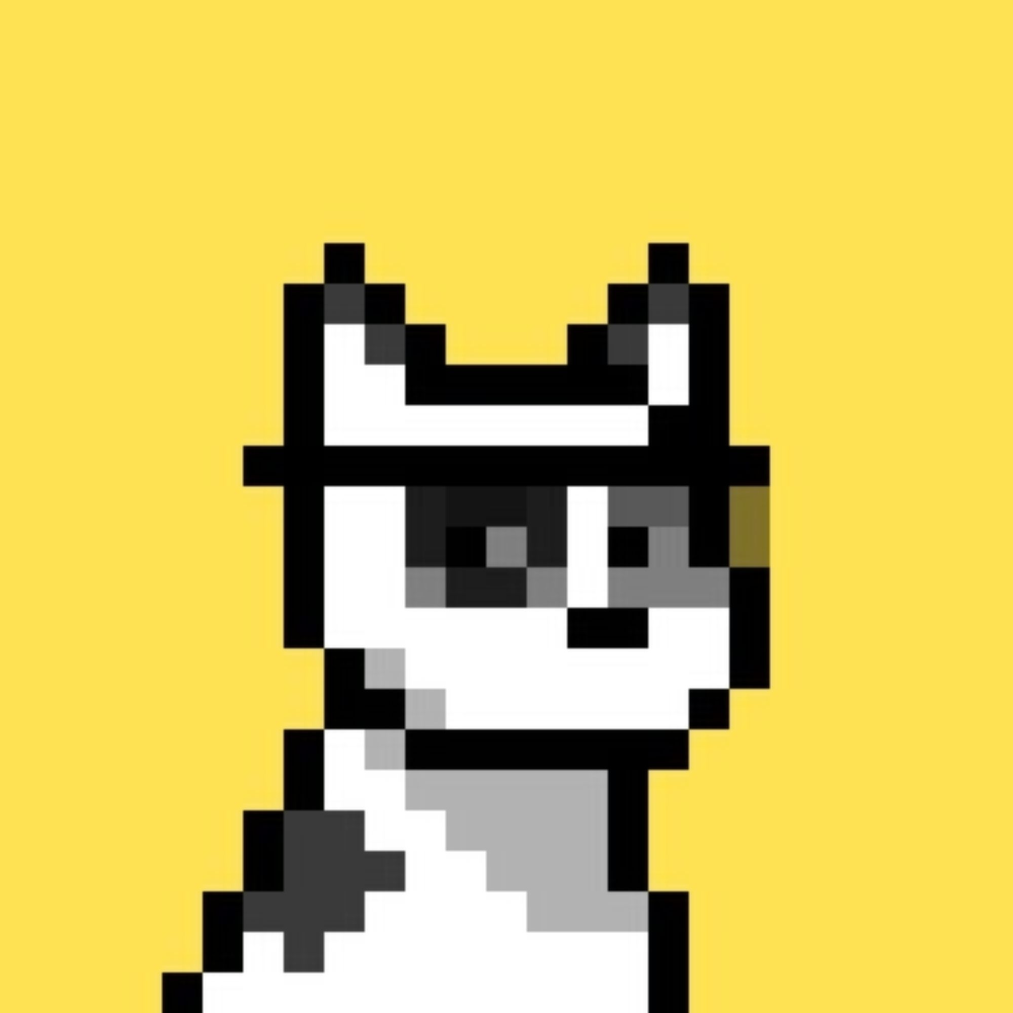 cattie