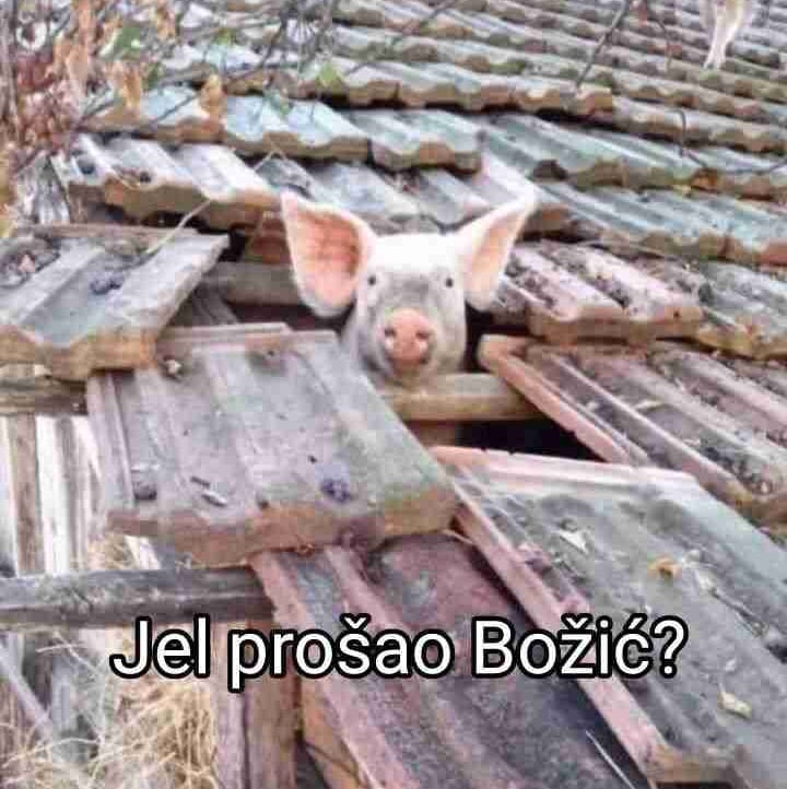 Milan (milanche) Farcaster social identity (Fname handle) PFP