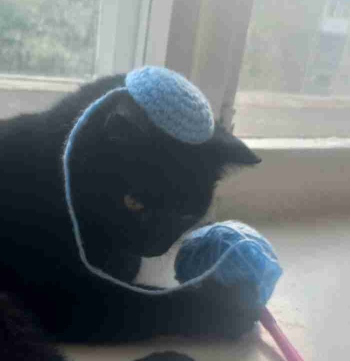 Nadpw (nadpw.lens) Lens social identity (.lens handle) PFP