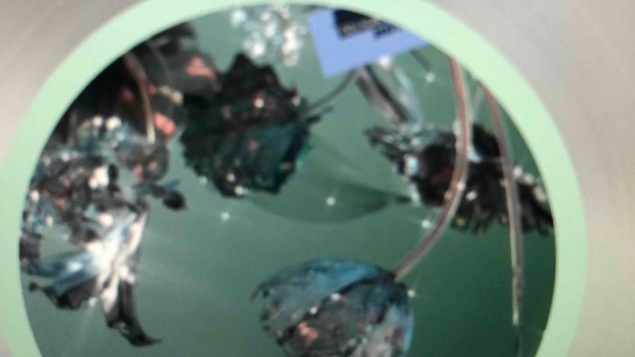 ww6698 (ww6698.lens) Lens social identity (.lens handle) PFP