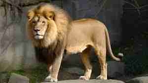 llop (kokhvbl) Farcaster social identity (Fname handle) PFP