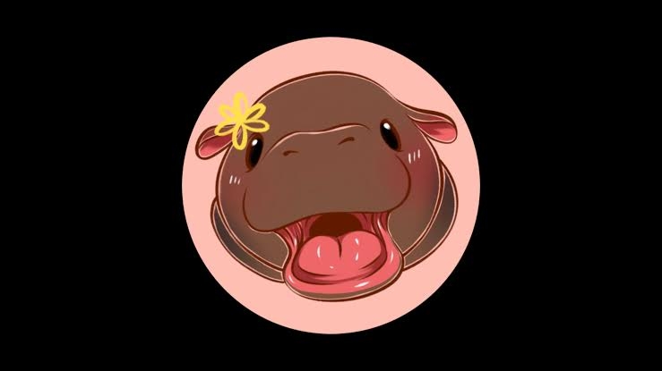 Adryanaje ๐ฉ๐ฉ๐ฉ pfp