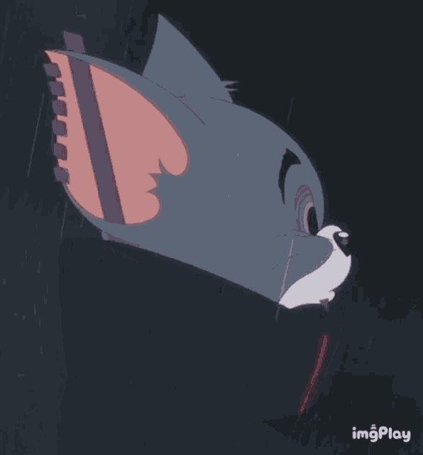 Fanki ◱ ◱ (fanki.lens) Lens social identity (.lens handle) PFP