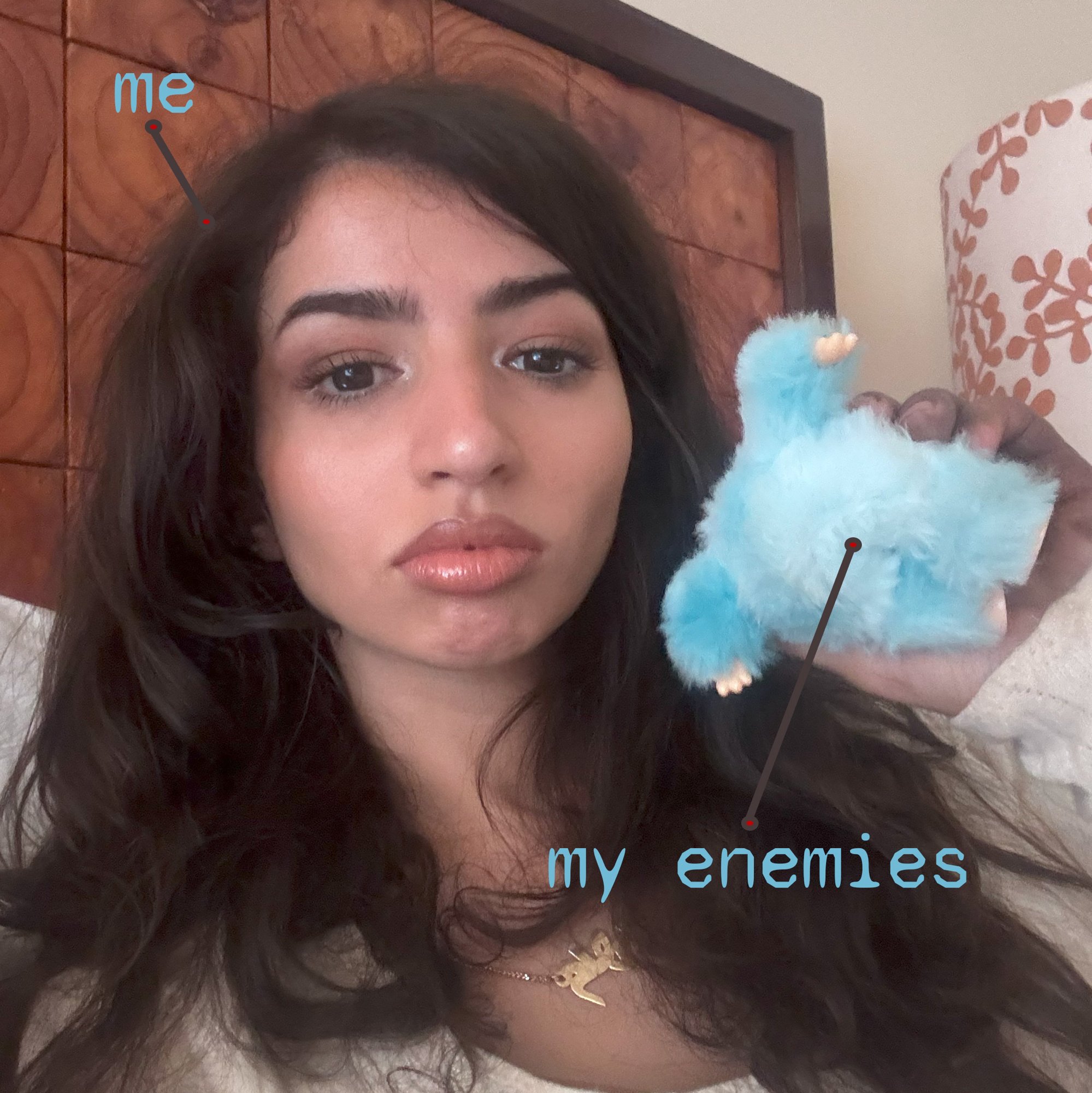⊹ ࣪ ˖ pfp