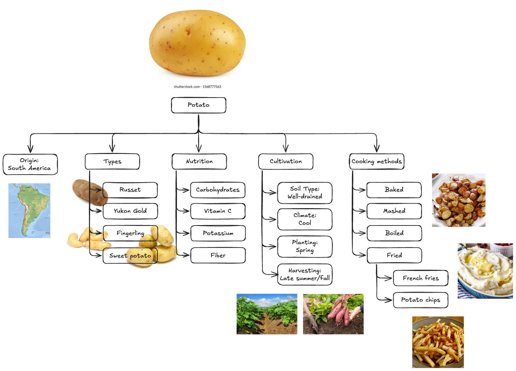 Embed from @heavygweit