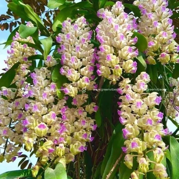 https://imagedelivery.net/BXluQx4ige9GuW0Ia56BHw/97e45fb5-667a-4e7a-fc87-ea5b574bfc00/original