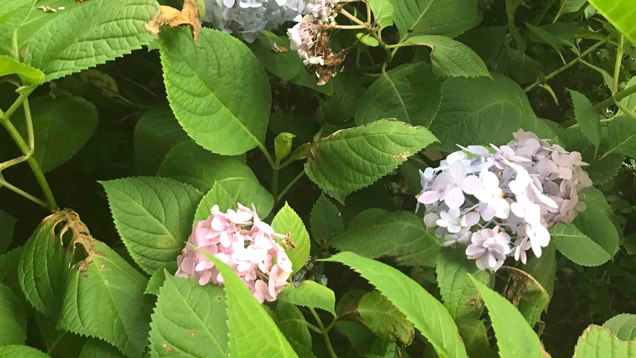 Setchvjb Uvkb (crichljbk) Farcaster social identity (Fname handle) PFP