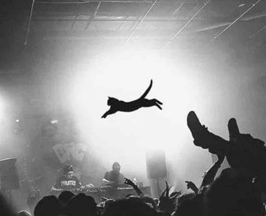 never (neverlate.eth) Ethereum Name Service (ENS and .eth domain) PFP