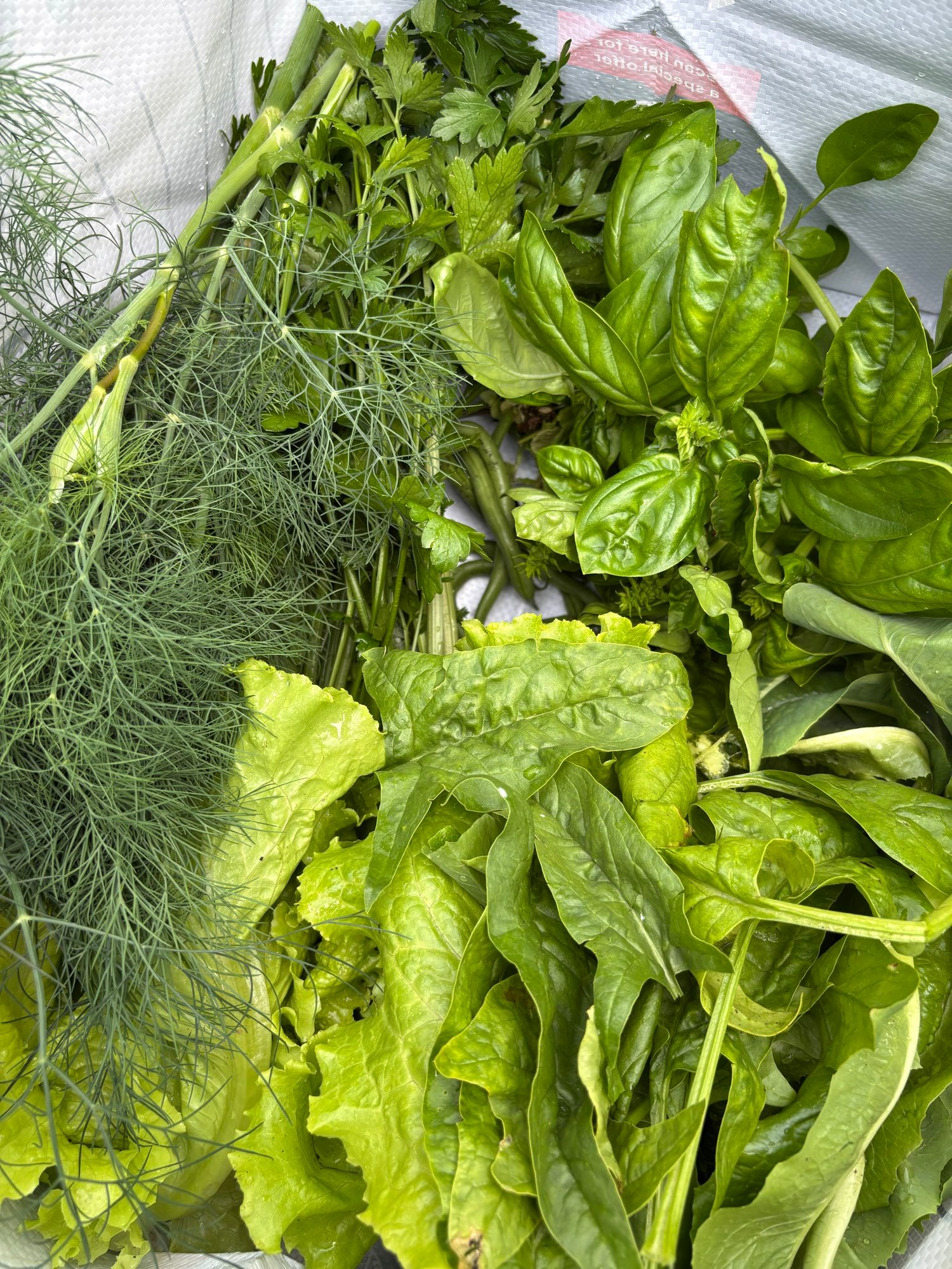 Embed from @adrienne