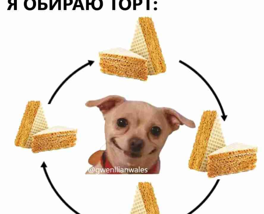 Dmytro pfp