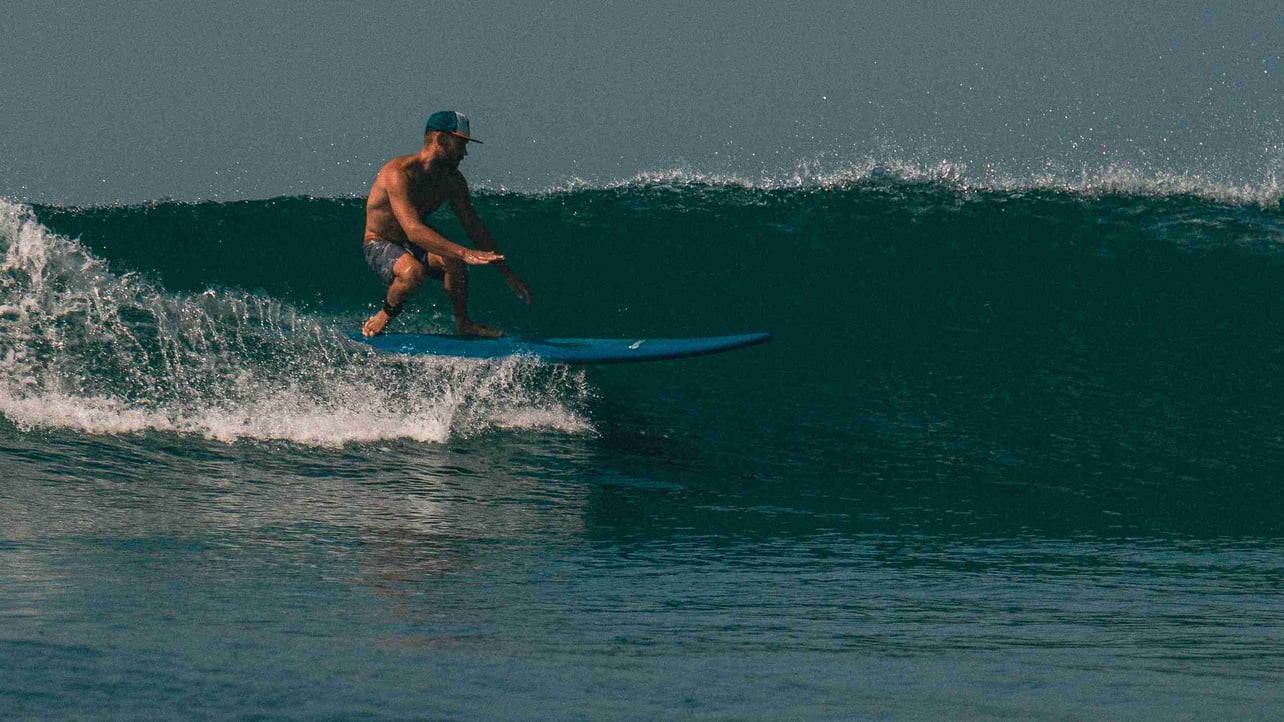 Alex (alexswan.lens) Lens social identity (.lens handle) PFP