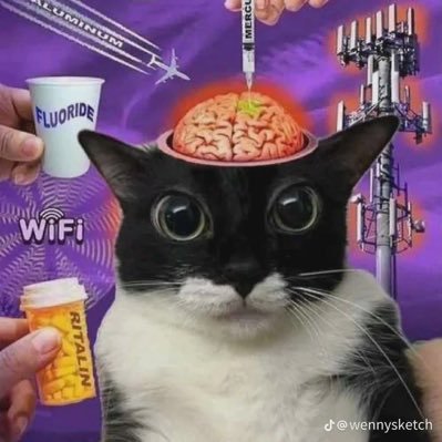 hungraw.linea.eth Linea Name Service (.linea.eth domains) based on ENS PFP