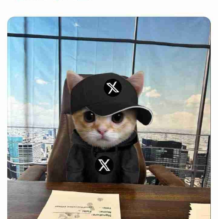 Ojolcrypto pfp