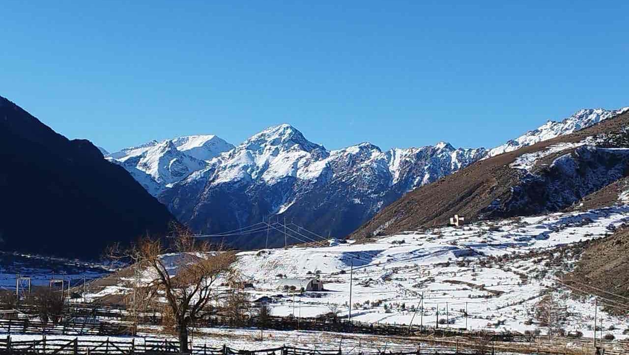 aznaur (aznaur.lens) Lens social identity (.lens handle) PFP