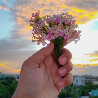 Asib Ahmed (asibahmed16.lens) Lens social identity (.lens handle) PFP