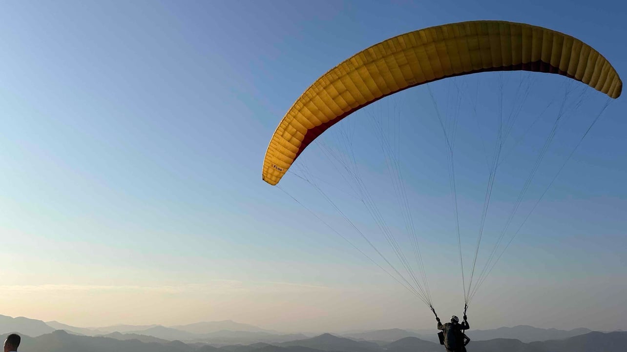 radiopig.base.eth Basenames (.base.eth domains) based on ENS PFP