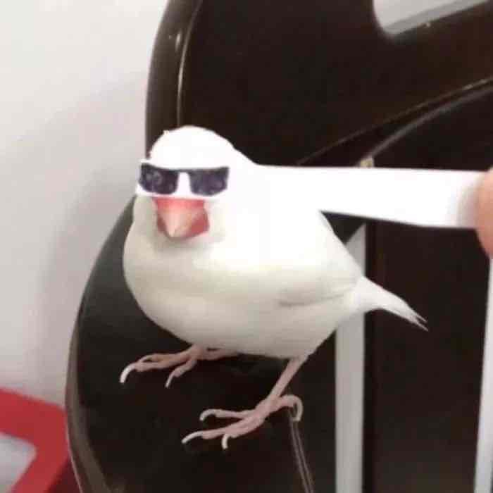 eddyhyter.lens Lens social identity (.lens handle) PFP