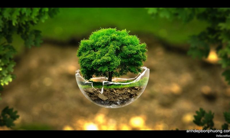 lensokx36.lens Lens social identity (.lens handle) PFP