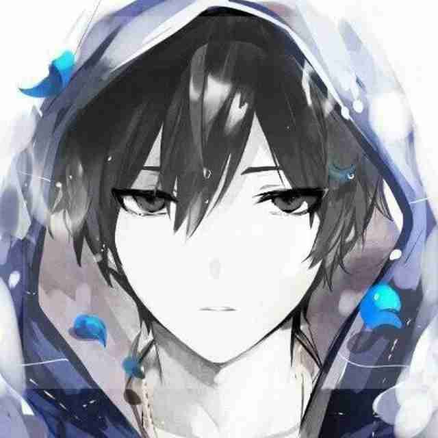 sein pfp