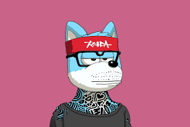 Roderik pfp