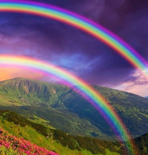https://imagedelivery.net/BXluQx4ige9GuW0Ia56BHw/9c53447f-2e60-4ede-f3cc-cf0929d35500/original